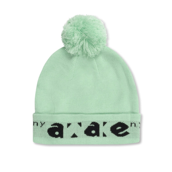 Awake NY Block Out Logo Beanie