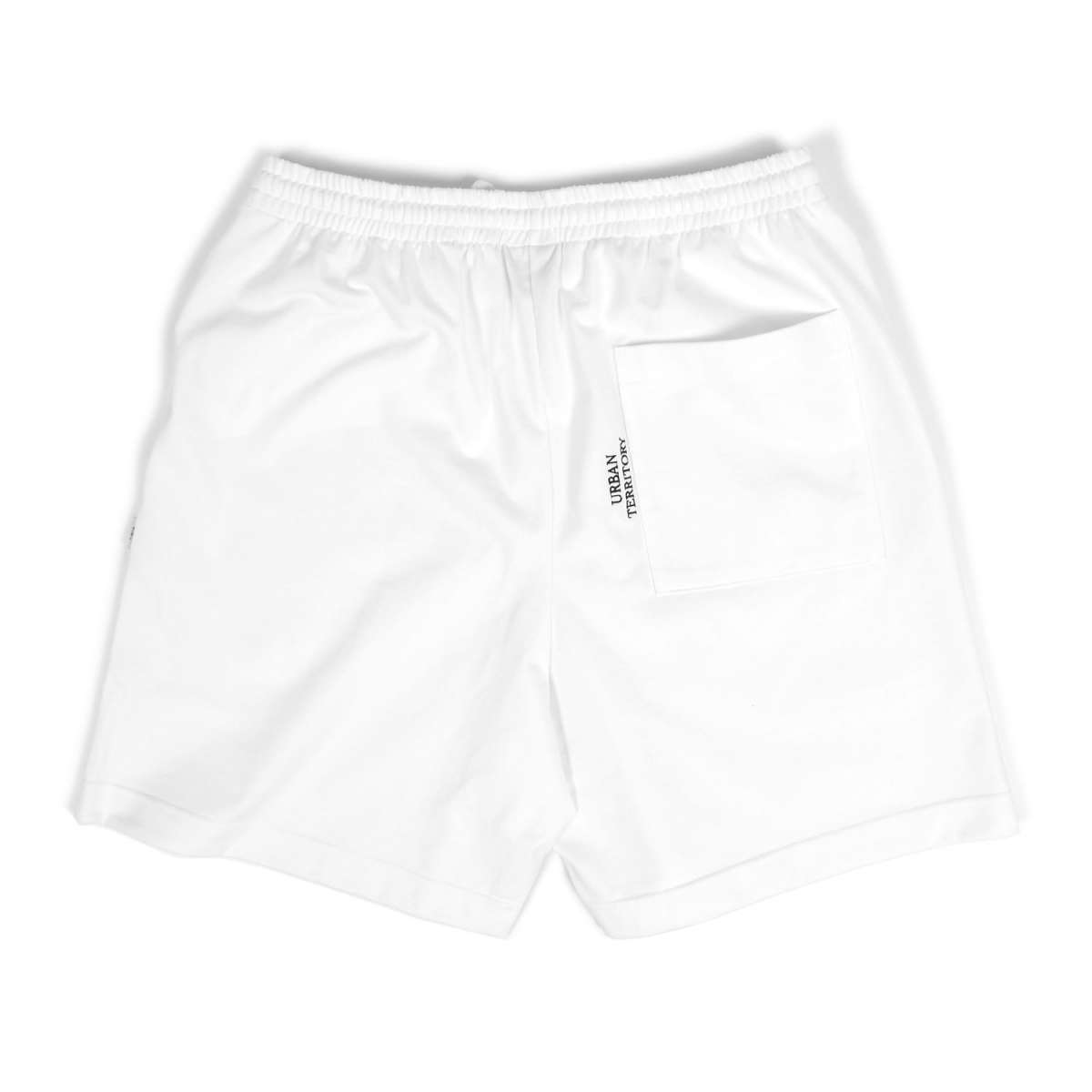 Wtaps-WUS-Shorts-231ATDT-CSM32