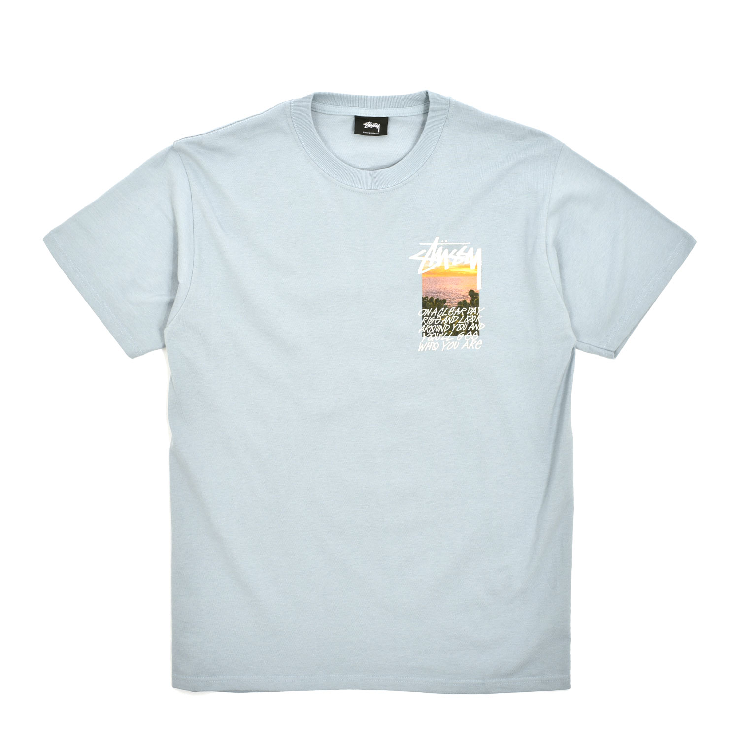 stussy clear day
