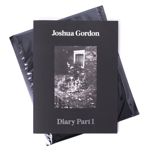 Joshua Gordon Diary Part 1 - Various Stills