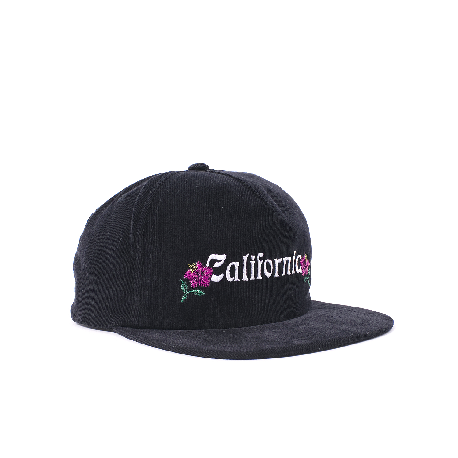 stussy snapback
