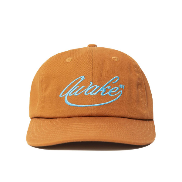 Awake NY Script Logo 6-Panel Hat