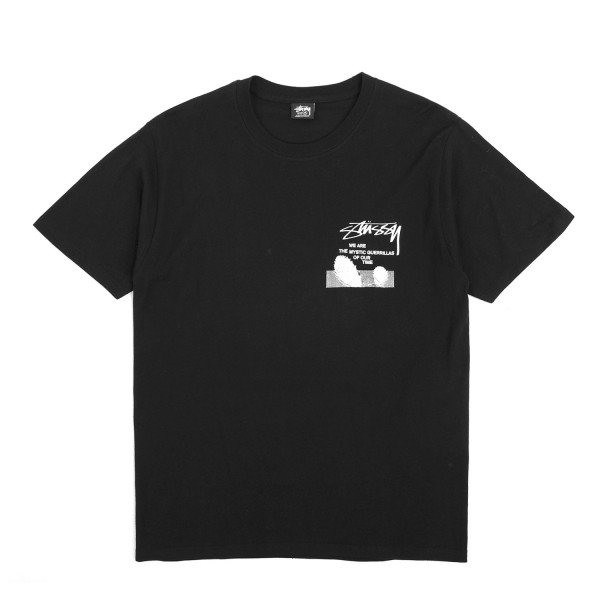 Stussy Desert Sky T-Shirt